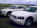 Charger vs. 300 Bild ID 1935 Charger vs. 300 Bild ID 1935