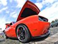 Down under Bild ID 3227