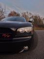 BigNose2 Bild ID 3245