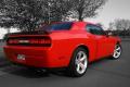 Chally 1 Bild ID 3287
