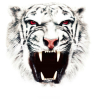 images/avatars/avatar-3439.jpg