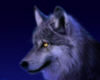 images/avatars/avatar-4961.jpg