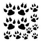 images/avatars/avatar-6855.jpg