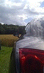 images/avatars/avatar-6911.gif
