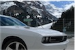 images/avatars/avatar-7077.jpg