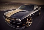images/avatars/avatar-8113.jpg