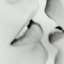 images/avatars/avatar-8251.jpg