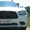 images/avatars/avatar-8447.gif