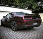 images/avatars/avatar-8742.gif