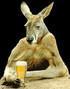 images/avatars/avatar-8862.jpg